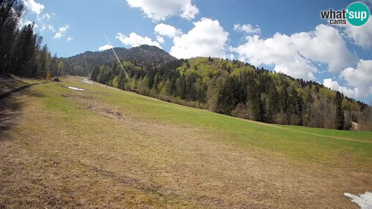 RTC Kranjska Gora | Brsnina