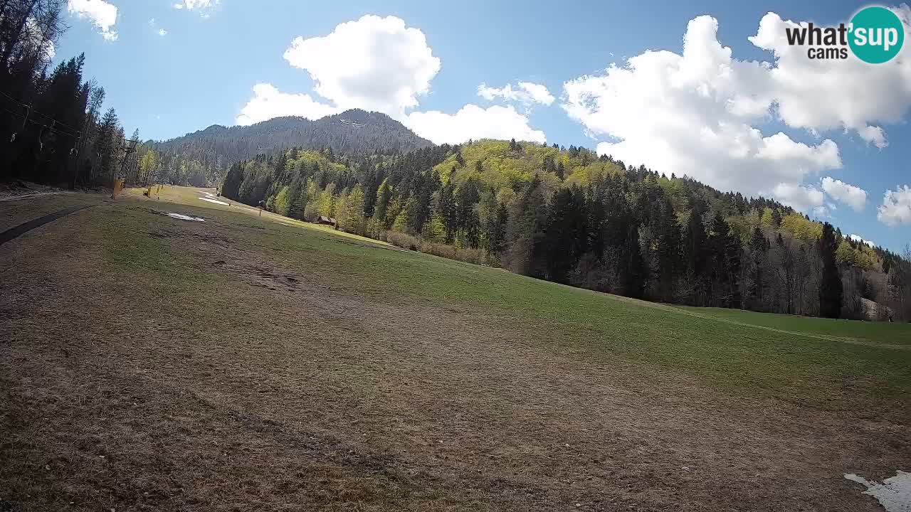Kranjska Gora SKIJANJE | Brsnina