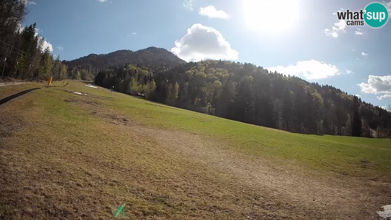Kranjska Gora SKIJANJE | Brsnina