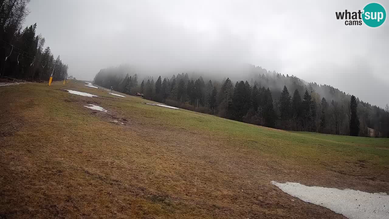 Kranjska Gora Station de ski | Brsnina