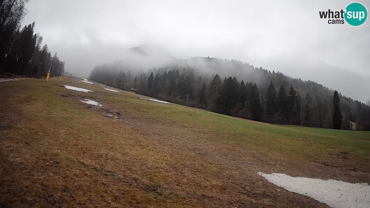 Kranjska Gora SKIJANJE | Brsnina