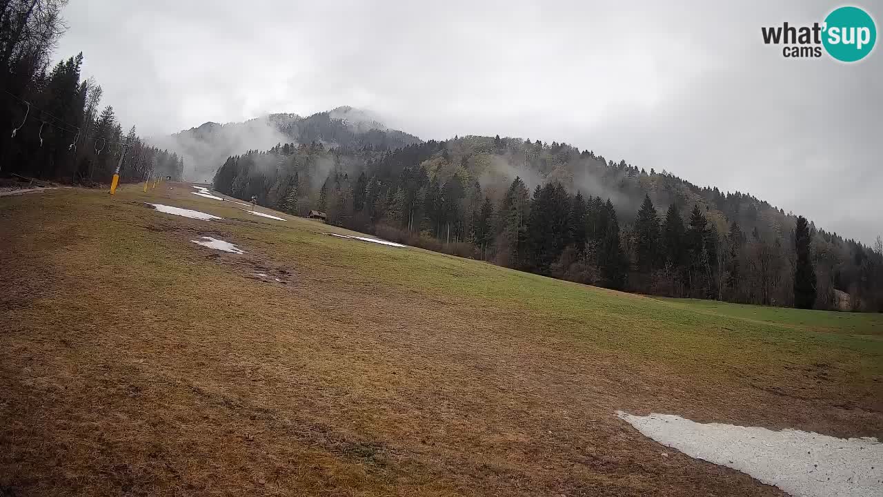 RTC Kranjska Gora | Brsnina