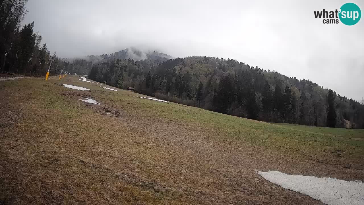 Comprensorio sciistico Kranjska Gora | Brsnina