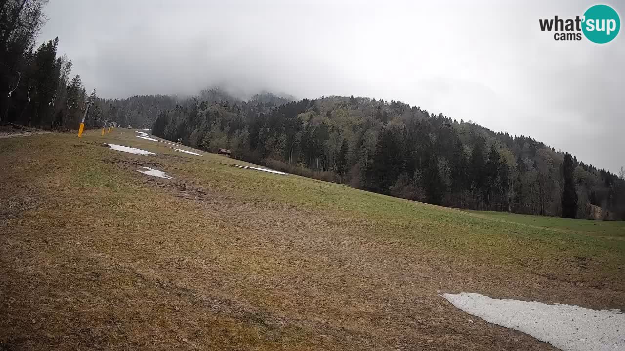 Esquí Kranjska Gora | Brsnina