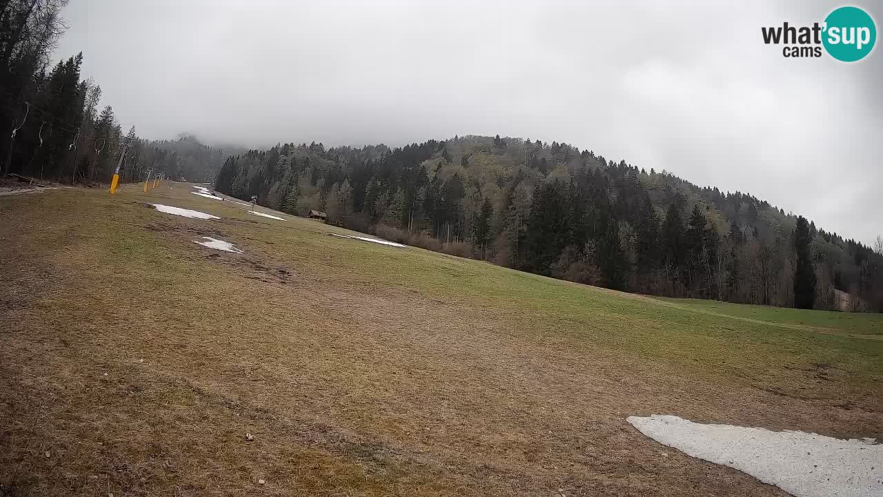 RTC Skigebiet Kranjska Gora | Brsnina