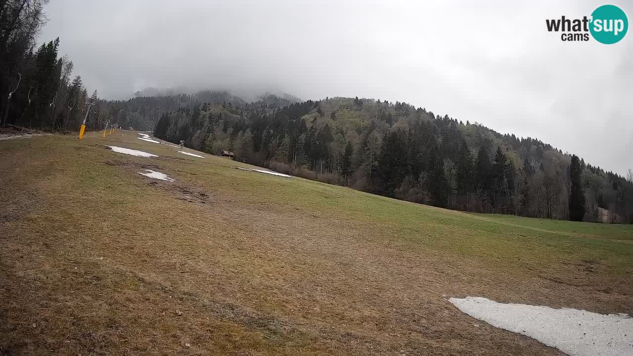 Kranjska Gora Station de ski | Brsnina