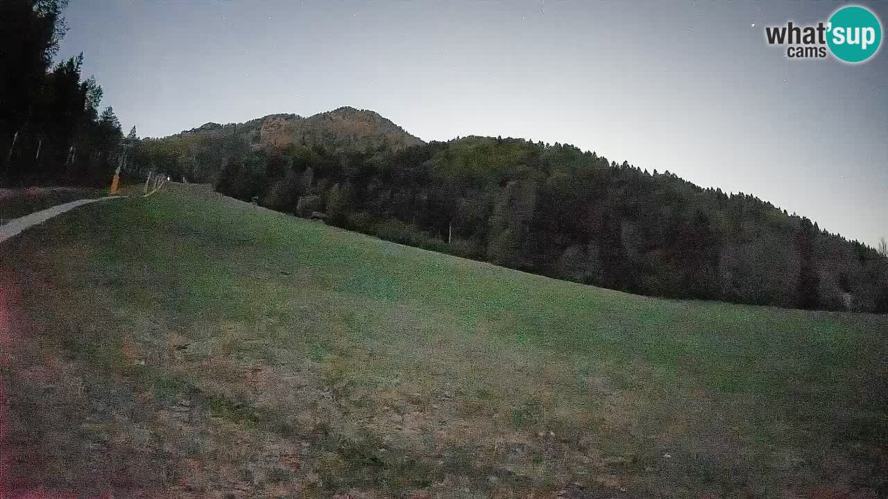 RTC Skigebiet Kranjska Gora | Brsnina