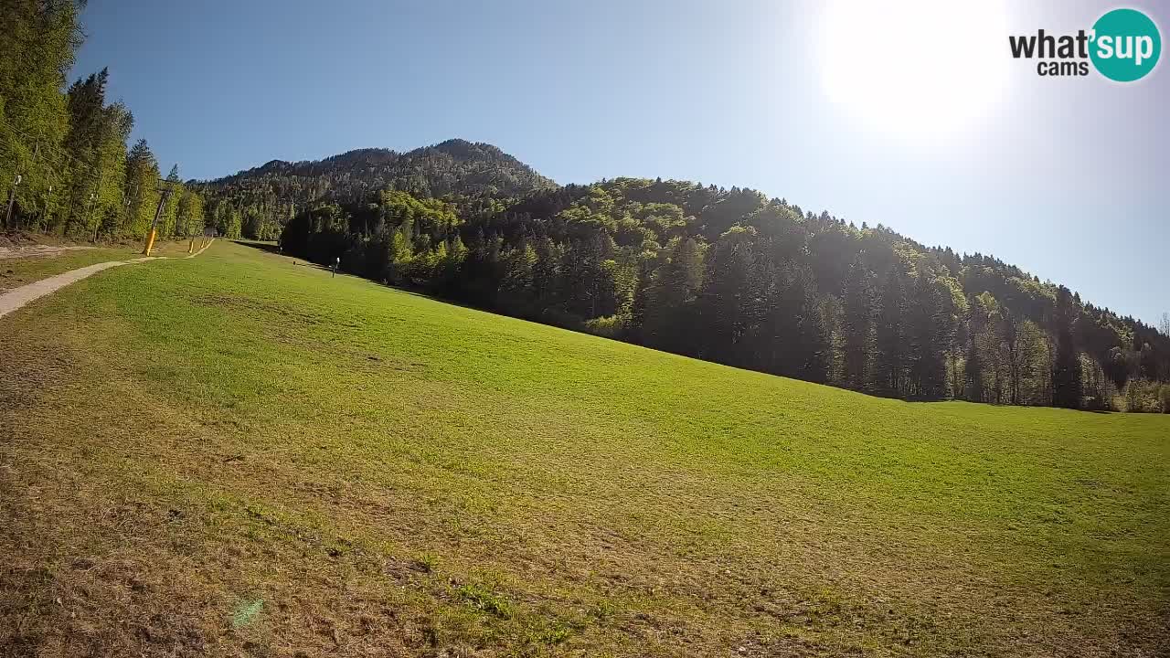 Comprensorio sciistico Kranjska Gora | Brsnina