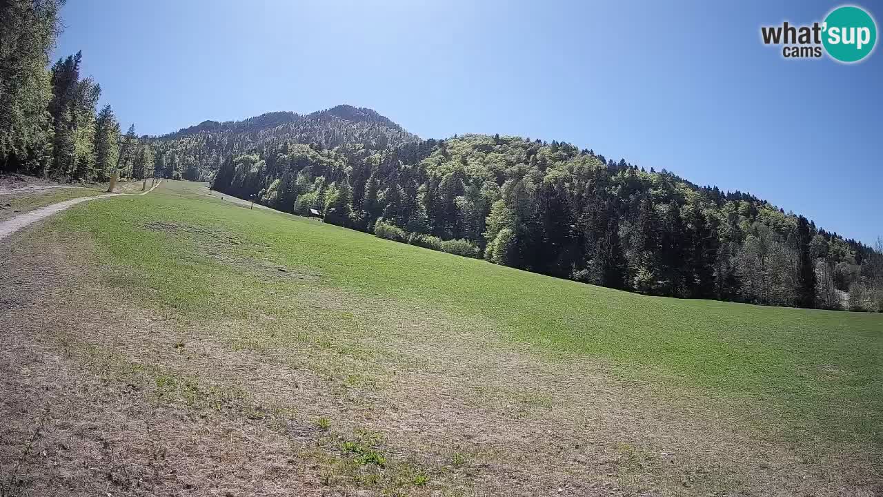 RTC Skigebiet Kranjska Gora | Brsnina