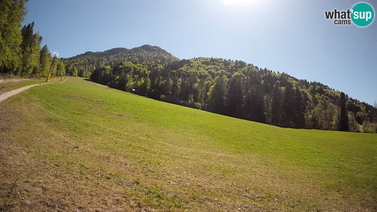 RTC Skigebiet Kranjska Gora | Brsnina