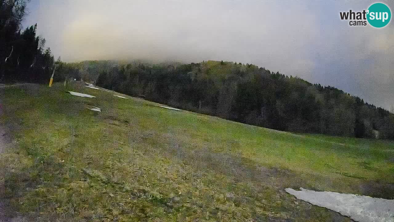 RTC Kranjska Gora | Brsnina