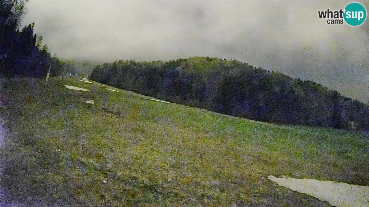 Kranjska Gora SKIJANJE | Brsnina