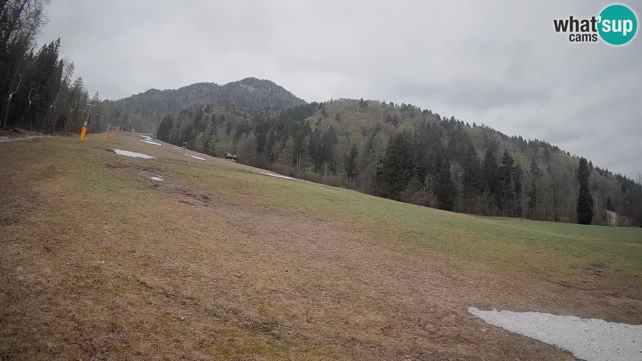 Kranjska Gora Station de ski | Brsnina