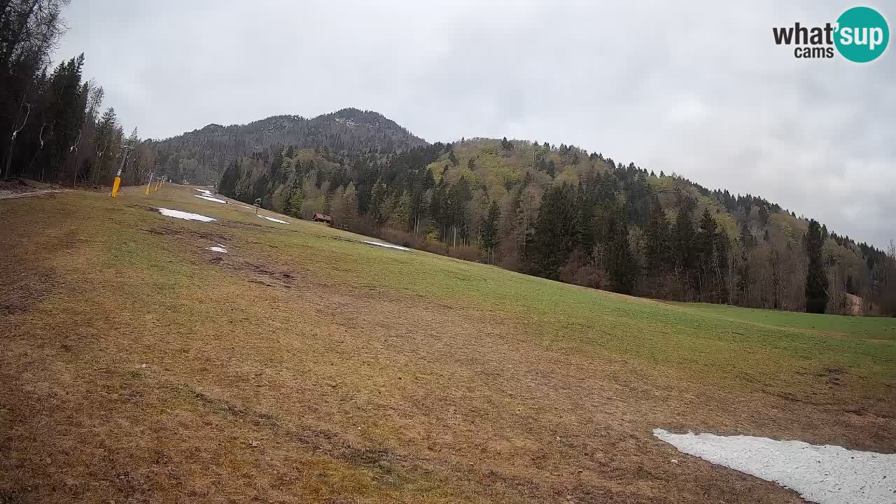 Ski Kranjska Gora | Brsnina