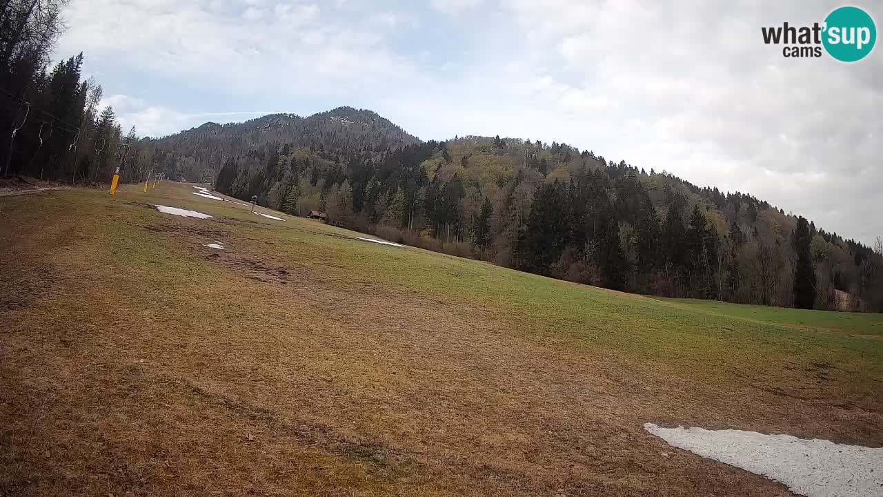 Esquí Kranjska Gora | Brsnina
