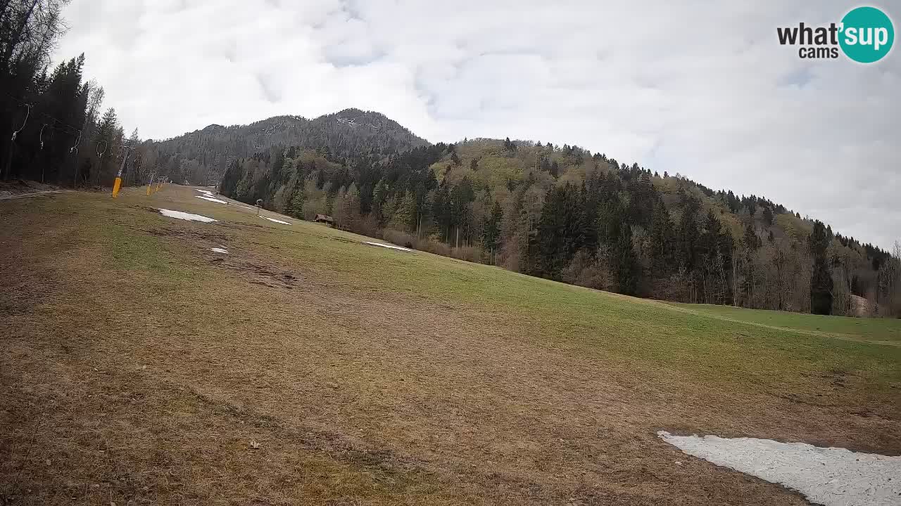 RTC Kranjska Gora | Brsnina