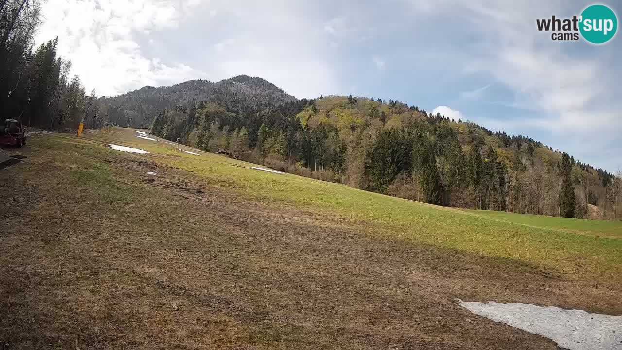 RTC Kranjska Gora | Brsnina