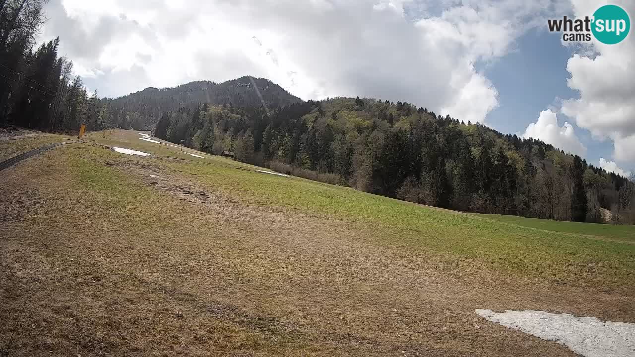 RTC Kranjska Gora | Brsnina
