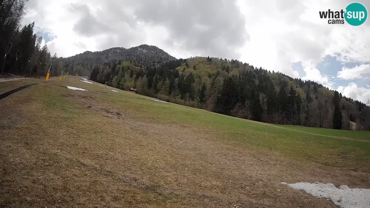 Comprensorio sciistico Kranjska Gora | Brsnina