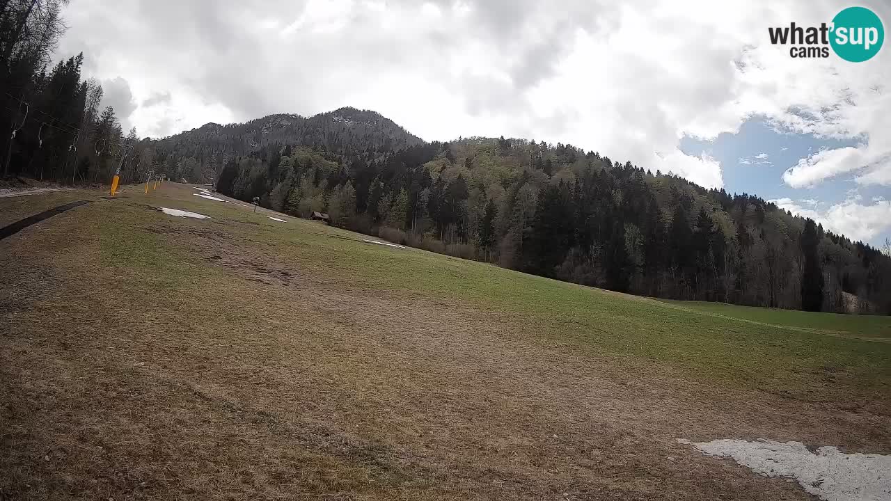 RTC Kranjska Gora | Brsnina