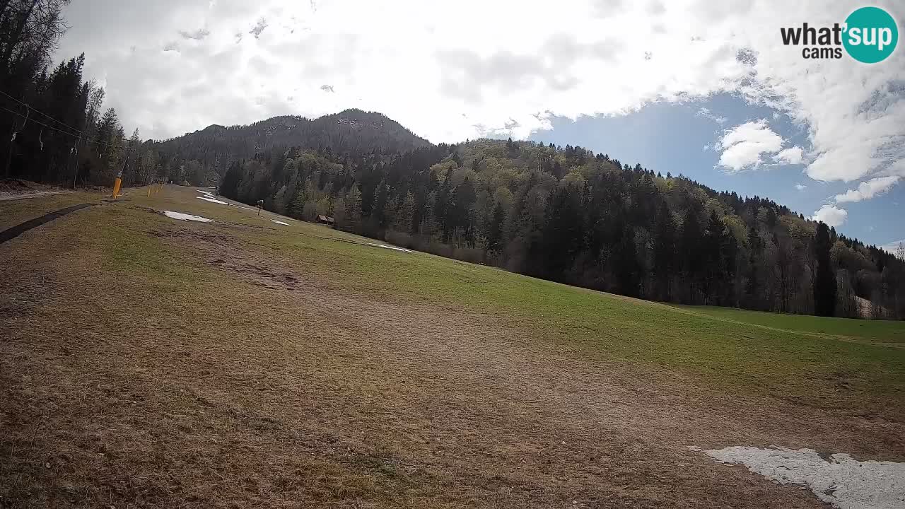 Esquí Kranjska Gora | Brsnina
