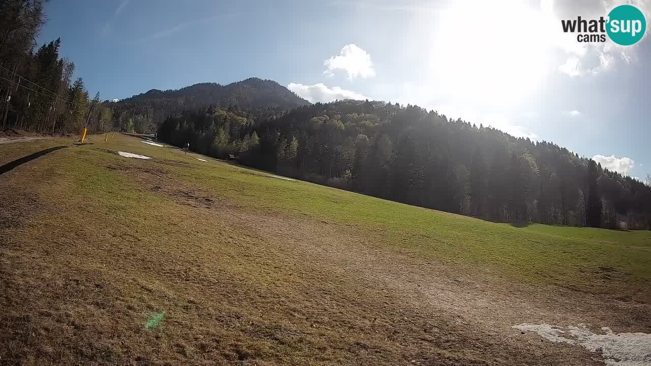 Esquí Kranjska Gora | Brsnina