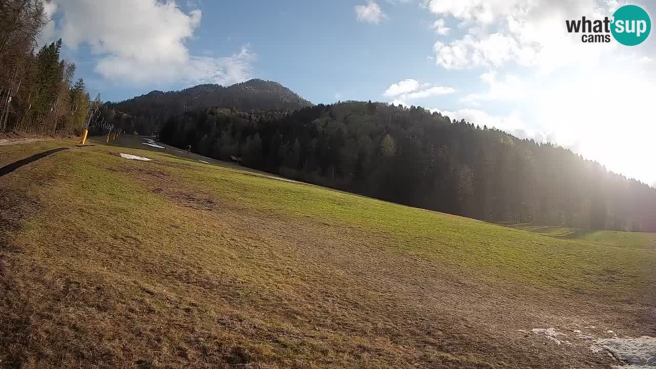RTC Kranjska Gora | Brsnina
