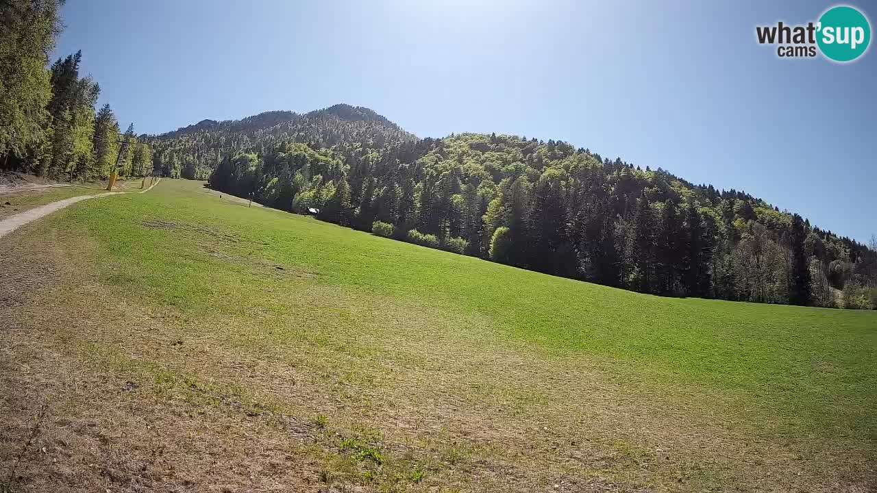 Kranjska Gora Station de ski | Brsnina