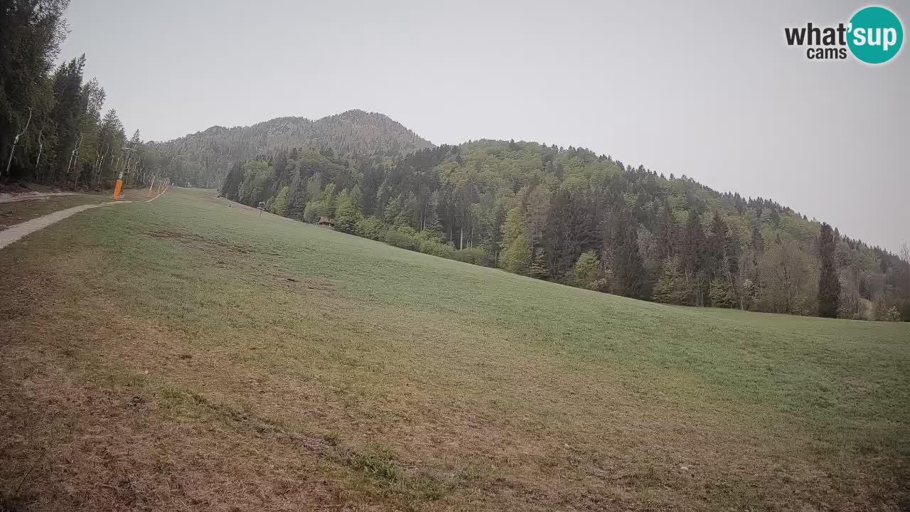 Kranjska Gora SKIJANJE | Brsnina