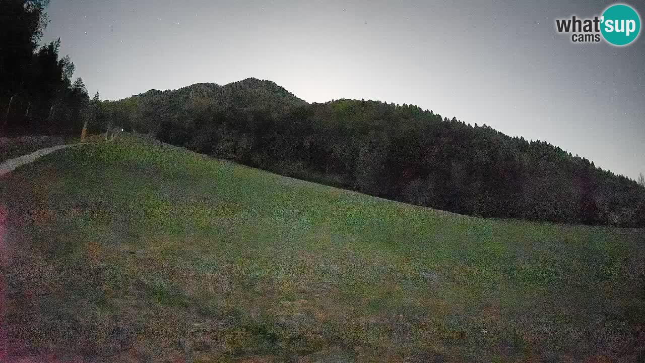 Ski Kranjska Gora | Brsnina