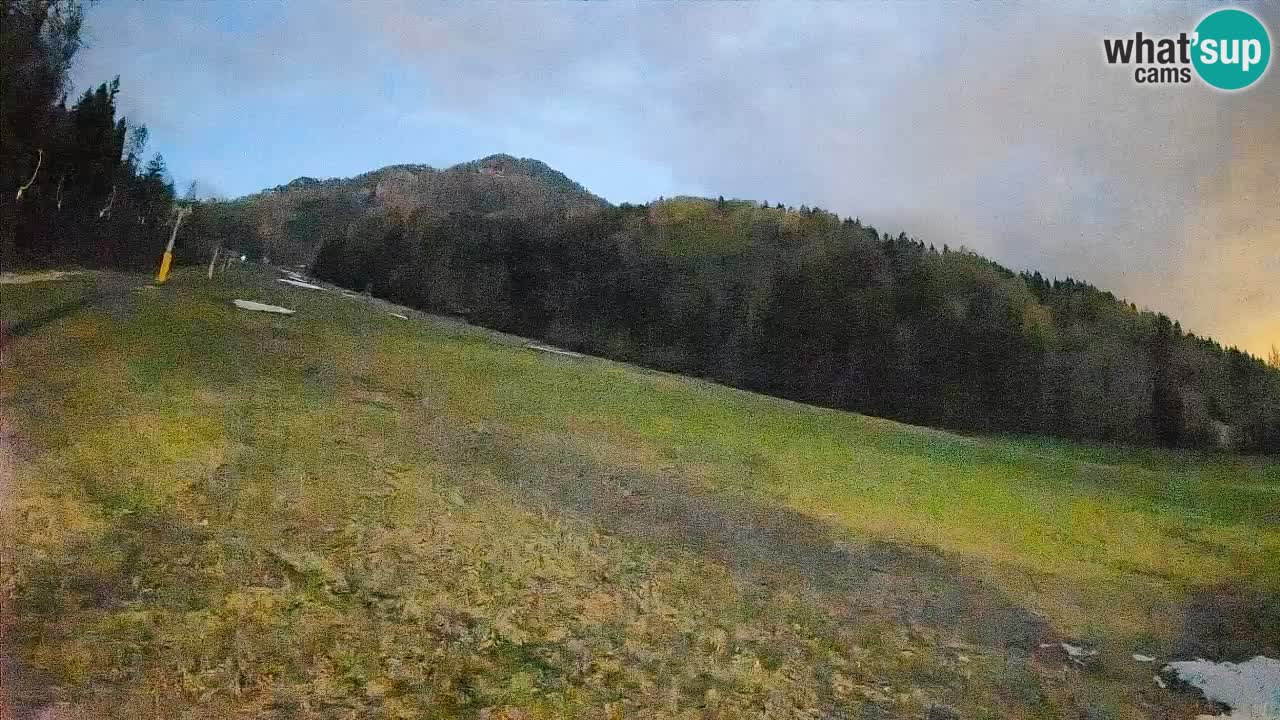 RTC Skigebiet Kranjska Gora | Brsnina