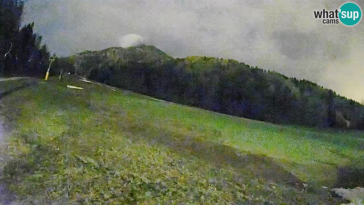 Ski Kranjska Gora | Brsnina