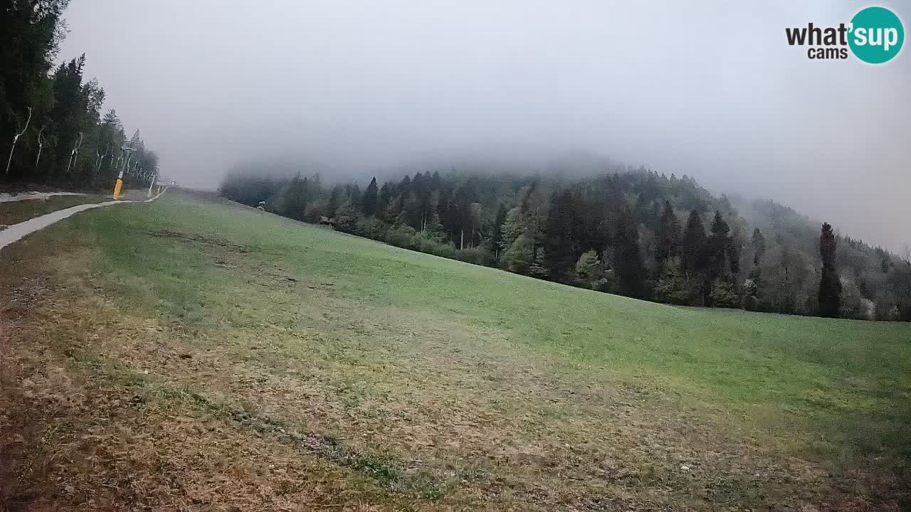 Ski Kranjska Gora | Brsnina