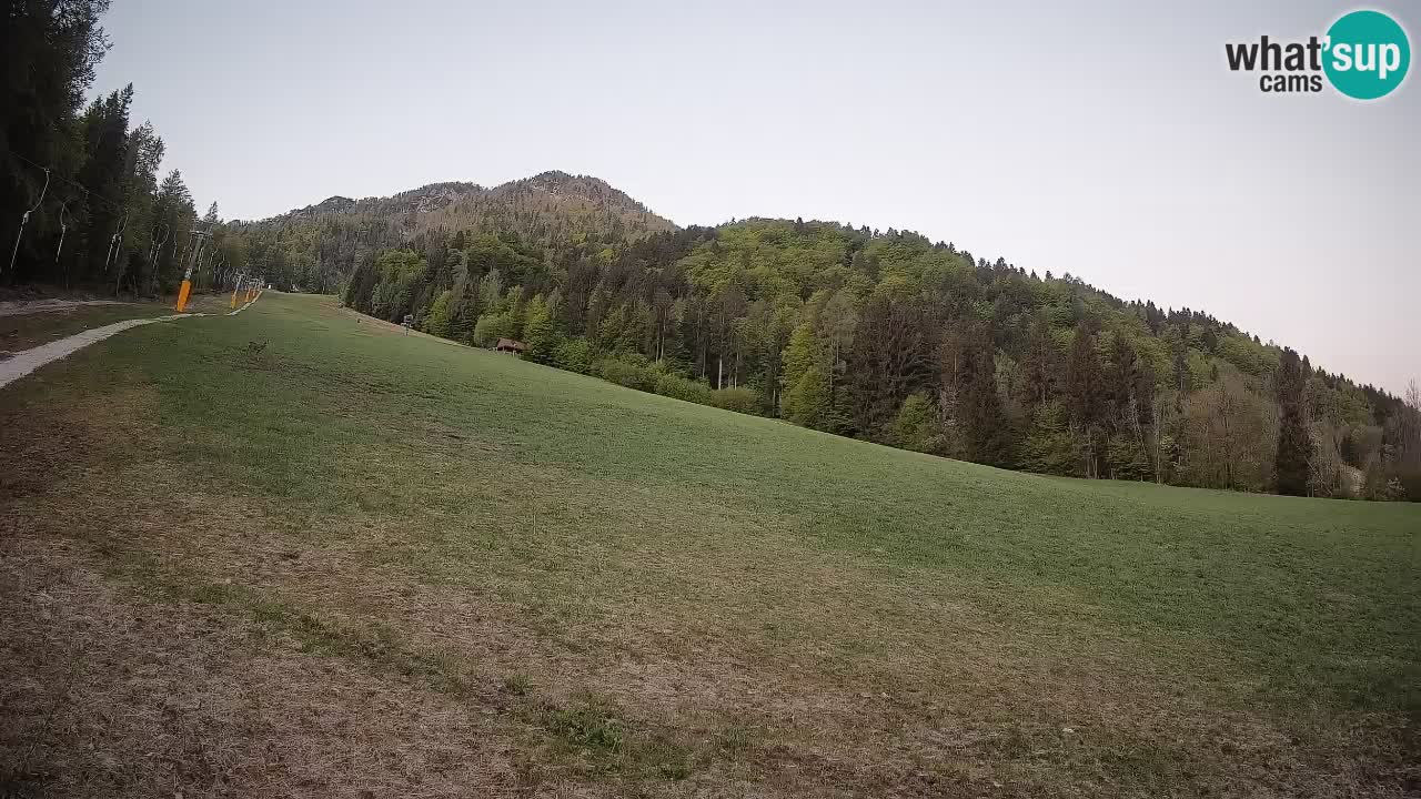 Ski Kranjska Gora | Brsnina