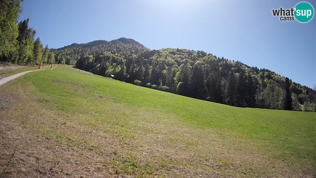 Comprensorio sciistico Kranjska Gora | Brsnina
