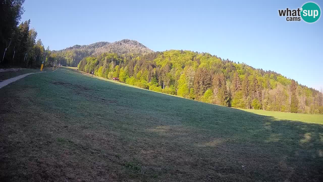 Ski Kranjska Gora | Brsnina