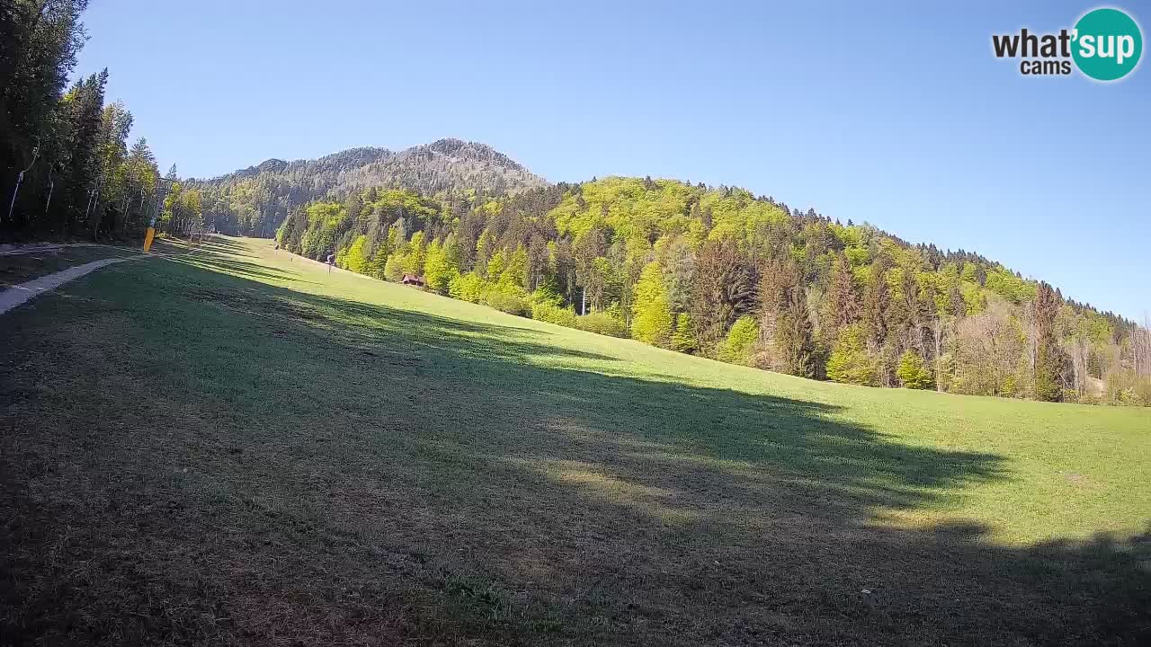 RTC Skigebiet Kranjska Gora | Brsnina