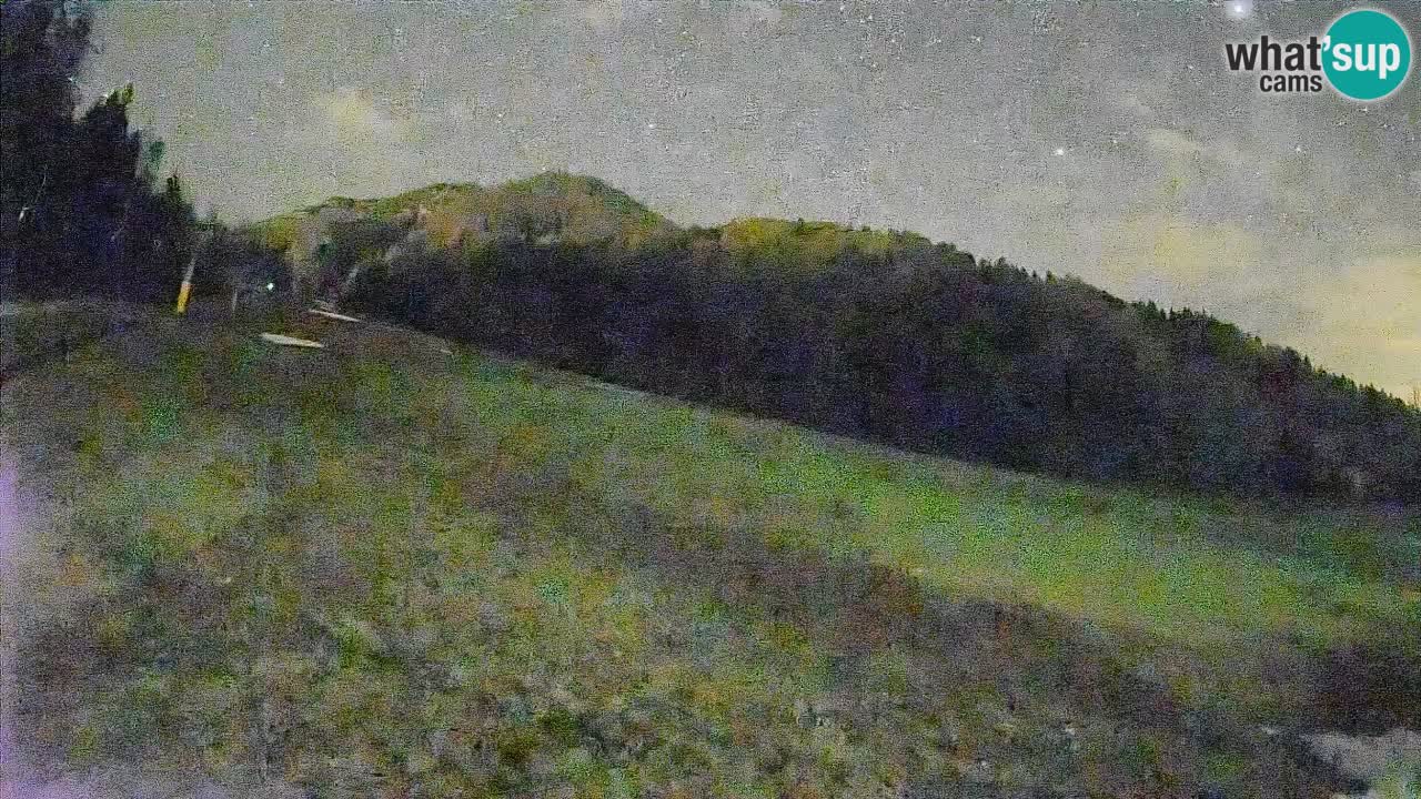 Comprensorio sciistico Kranjska Gora | Brsnina