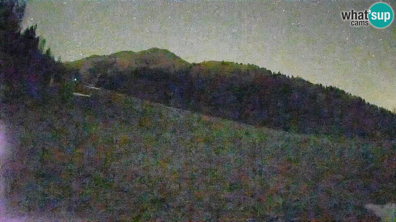 Comprensorio sciistico Kranjska Gora | Brsnina