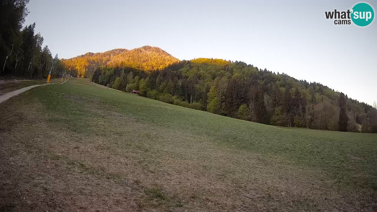RTC Kranjska Gora | Brsnina