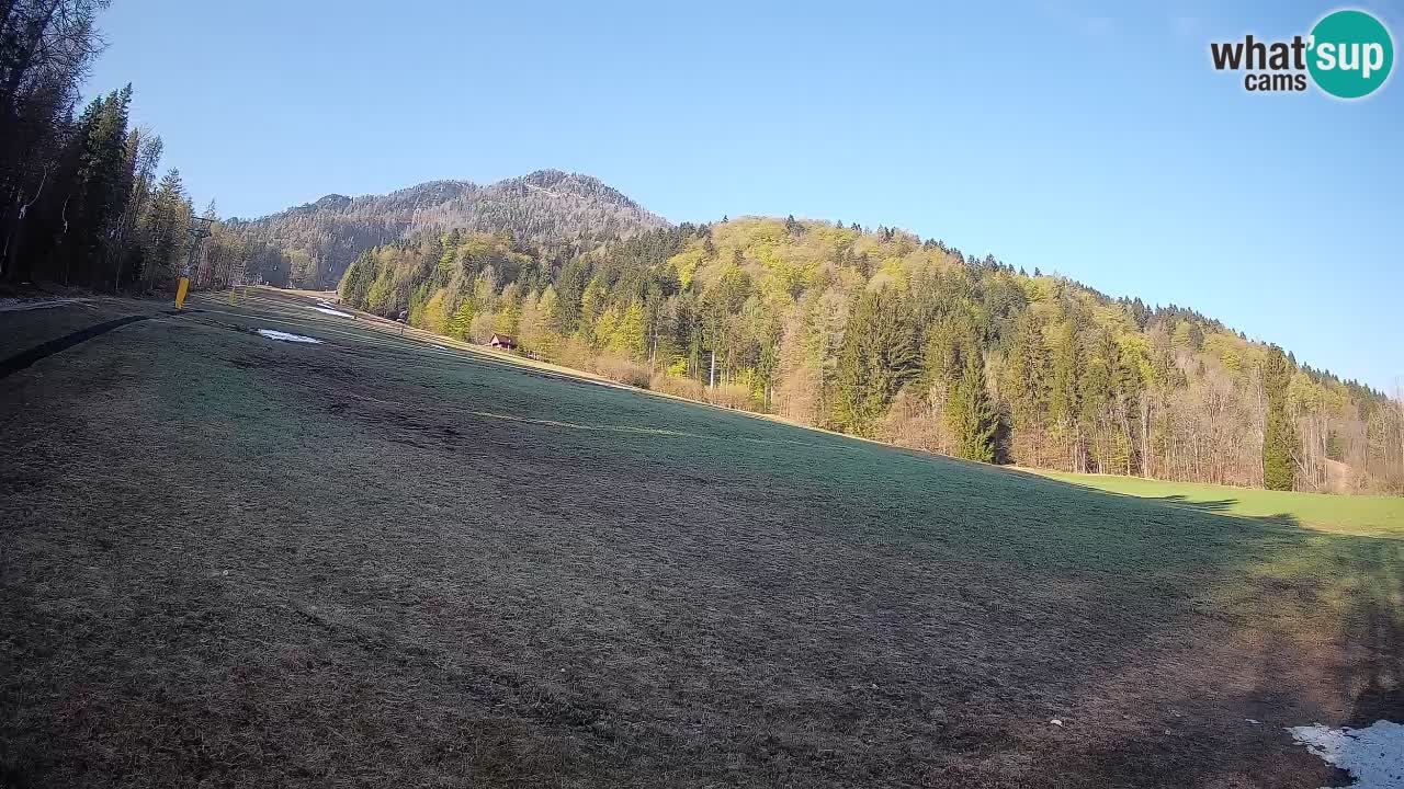 Kranjska Gora Station de ski | Brsnina