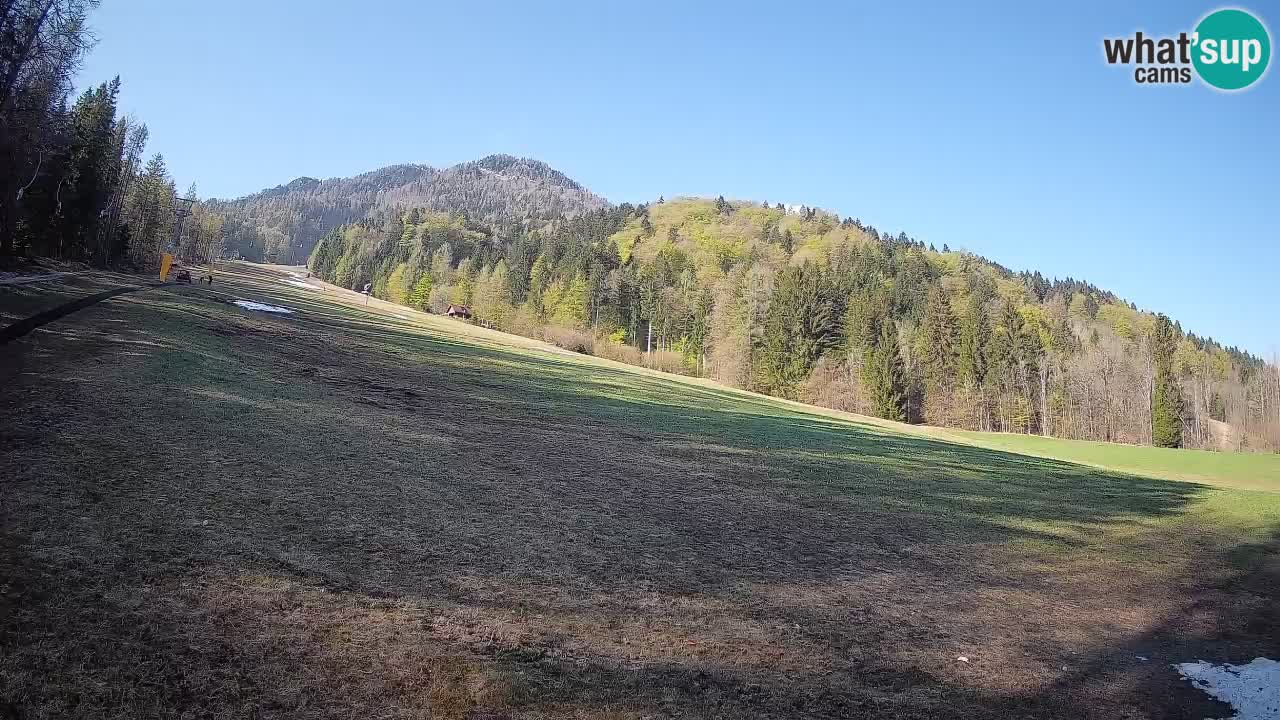 Comprensorio sciistico Kranjska Gora | Brsnina