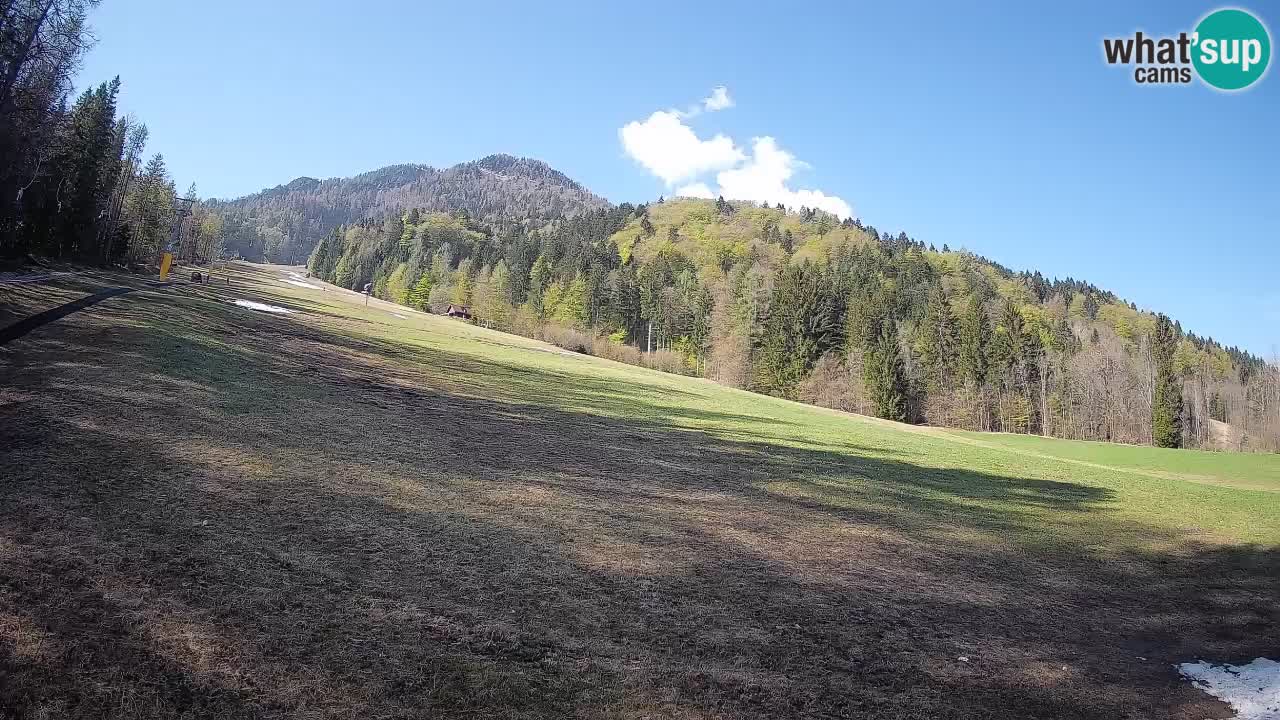 Kranjska Gora SKIJANJE | Brsnina