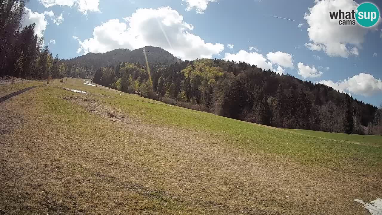 RTC Skigebiet Kranjska Gora | Brsnina