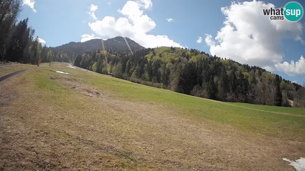Kranjska Gora SKIJANJE | Brsnina