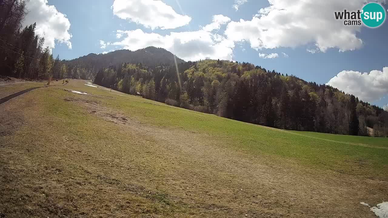 RTC Kranjska Gora | Brsnina
