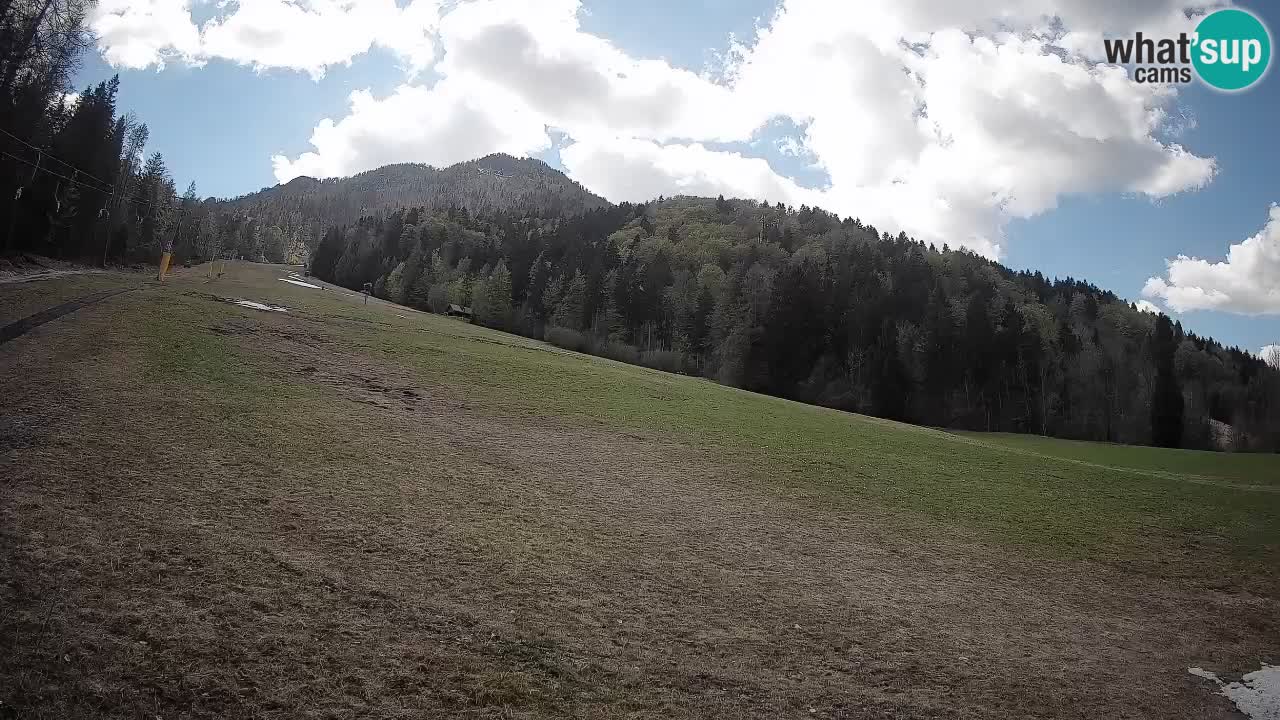 RTC Kranjska Gora | Brsnina