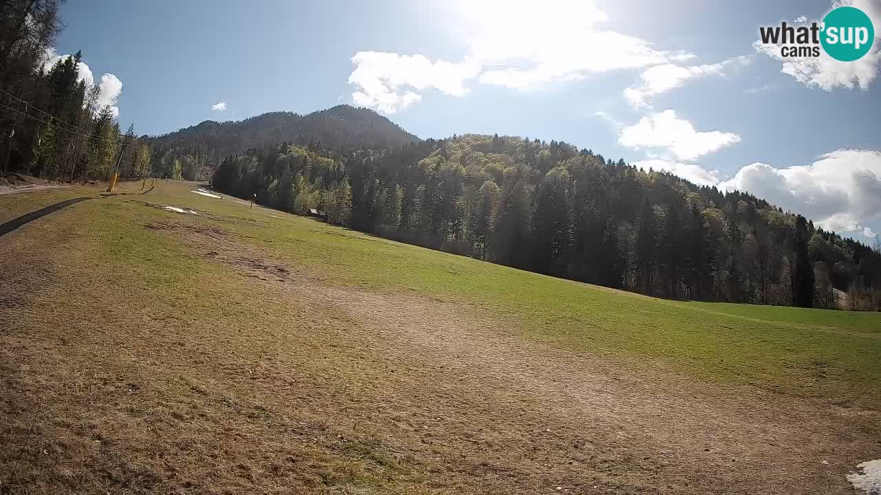 Comprensorio sciistico Kranjska Gora | Brsnina