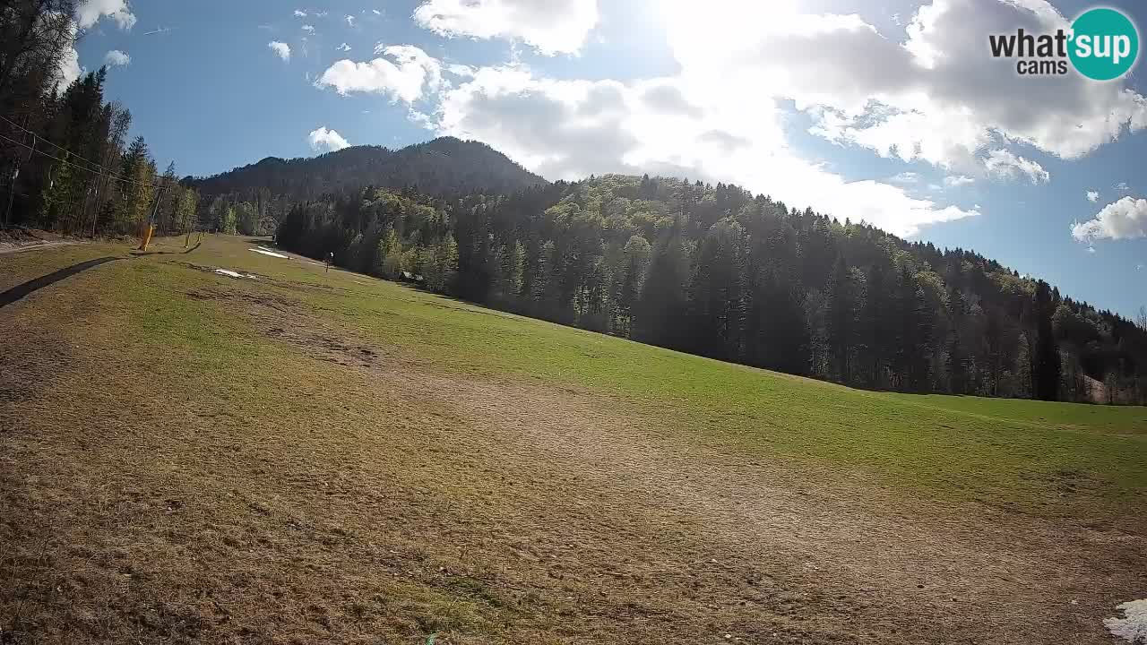 Comprensorio sciistico Kranjska Gora | Brsnina