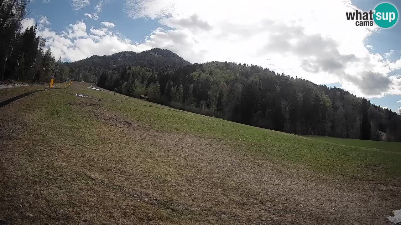 Ski Kranjska Gora | Brsnina